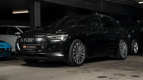 AUDI e-tron 55/RS-STOLER/B&O/VALCONA/N.VISION/PANO/MATRIX/SKINN/