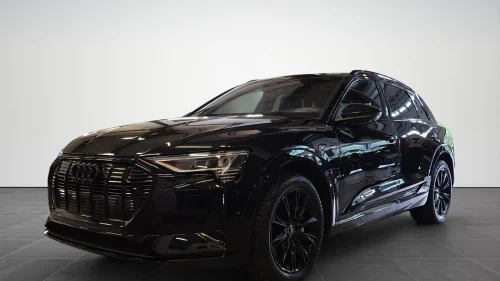 AUDI e-tron 55 55/S-Line/B&O/Pano/Matrix/360/H.Feste/ACC/Luft/Sp.Seter