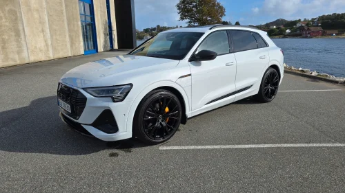 AUDI e-tron 55 55 S line Sport/B&O/H.feste/Night/DigMatrix/HUD/22"