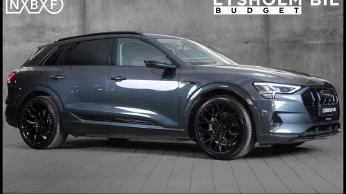 AUDI e-tron 55 55 Quattro/Hengerfeste/Skinn/Led/Navi/El.bakluke/R.Kam