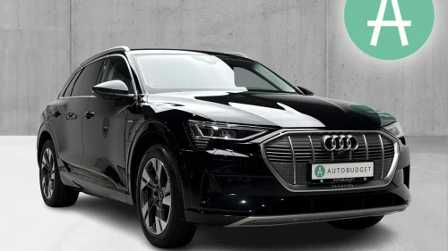 AUDI E TRON 55 55 Advanced Business / ACC / 360 / Krok / Skinn