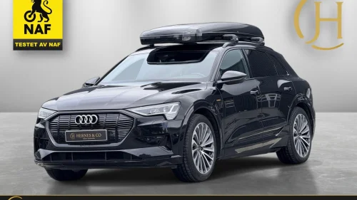 AUDI E TRON 55 55/NAF/Advanced/Luft/Krok/Bang & Olufsen/VC/360/S+V++
