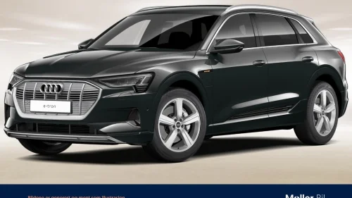 AUDI E TRON 55 55 Advanced LED-20"-Skinn-H.feste-R.kamera mm.