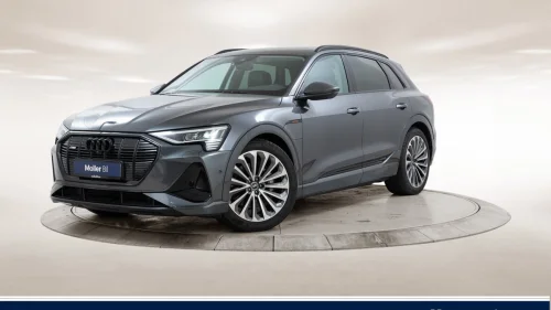 AUDI E TRON 55 55 S Line Sport - Pano, Skinn, B&O, Matrix, 360Kam