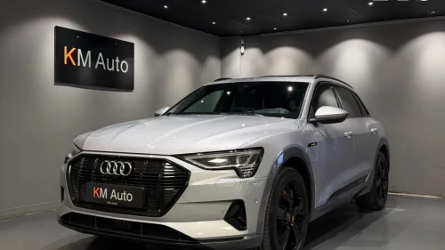 AUDI e-tron 55 QUATTRO S-LINE / NIGHTV / ACC / MATRIX / B&O / LUFT+