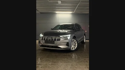 AUDI e-tron 55 Advanced/Quattro/360Kam/H.Feste/HUD/Keyless++