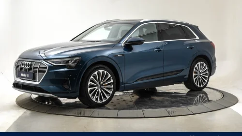 AUDI e-tron 55 exclusive S-Line All-Inclusive/Panorama/Skinn/Krok