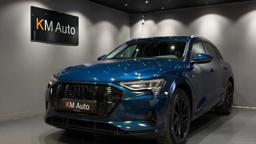 AUDI e-tron 55 55 QUATTRO / ACC / NAVI / 360KAM / LUFT / DAB / 1EIER