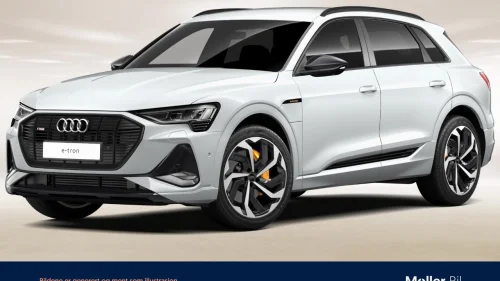 AUDI e-tron 55 55 S Line Sport - 360Kam, B&O, Matrix, S Line, 21"