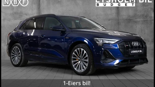 AUDI e-tron 55 55/S-line/HUD/B&O/Delskinn/Krok/360*Kamera/Matrix/Navi