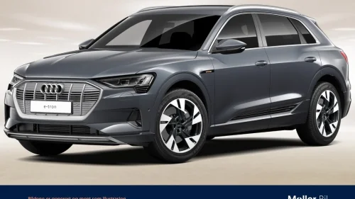 AUDI e-tron 50 50 Advanced Business - R.Kam, LED, Navi, Krok
