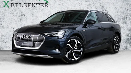 AUDI E TRON 55 55 Q Adv. Business // ACC KAMERA V.PUMPE LUFT 21" KROK+