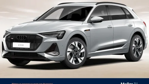 AUDI E TRON 55 55 S Line Sport - B&O, 360Kam, Skinn, Krok, Matrix