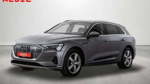 AUDI e-tron 55/Quattro/Matrix/ACC/Alcantara-Skinn/HUD/360/Luft/DAB/