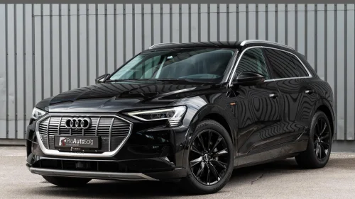 AUDI e-tron 55 Advanced ACC Luft Henger Keyless Head-up Matrix 360