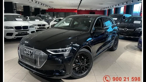 AUDI e-tron 55/PANO/MATRIX/NAVI/KAMERA/HUD/EL.SETER MEMORY/LUFT