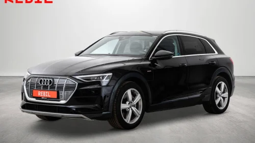 AUDI e-tron 55 55/ACC/Skinn/R.Kam/Luft/El.Bakluke/Navi/Krok