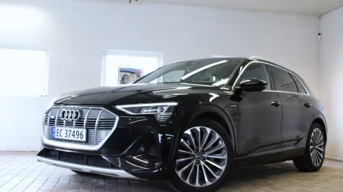 AUDI e-tron 55 55 S-LINE SPORT+SKINN+NAVI+ACC+KROK+360c+21"+++