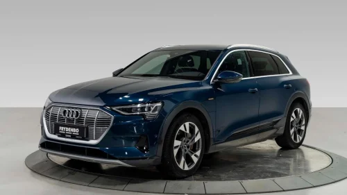 AUDI e-tron 55 55 Advanced Business 20"|H.FESTE|AMBIENTE|360|SKINN++