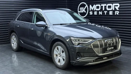 AUDI e-tron 55 55 426HK, 4X4, DELSKINN, NAVI, R.KAM, CRUISE, EU 4/27++