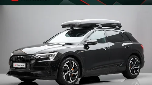 AUDI e-tron 55 55 S-LINE BLACK HUD SKINN B&O MATRIX PANORAMA 360 KROK