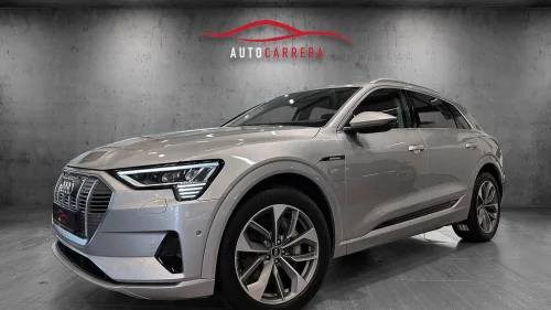 AUDI e-tron 55 55 Advanced Matrix/Kamera/Ad cruise/DAB/Krok+++