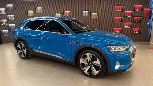 AUDI e-tron 55/4x4/SKINN/PANO/DAB/BANG&OLUFSEN/MEMORY/ACC/Matrix ++