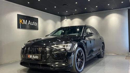 AUDI e-tron 55 QUATTRO / ACC / S.SETER/ 360KAM / MATRIX / LUFT++++