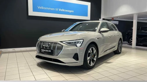 AUDI e-tron 55 55 Advanced BANG&OLUFSEN/NATT.KAM/H.FESTE/360KAM