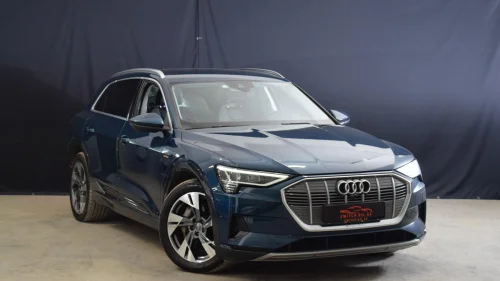 AUDI e-tron 55 55 Quattro/ACC/Luft/LED/Krok/DAB+/360kam/Alcantara++