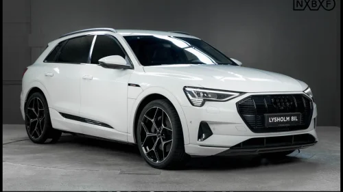 AUDI e-tron 55 55/S-Line/Bang&Olufsen/Skinn/BlackPack/Head Up/Krok