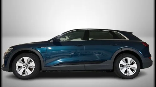 AUDI e-tron 50 50/QUATTRO/AUTOMAT/NAVI/R-KAM/360/ALU/EU-OK 10/27!!!