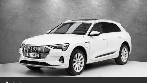 AUDI e-tron 55 55 advanced sport