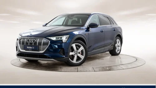 AUDI e-tron 55 55 Advanced Business - R.Kam, Matrix, Sp.Seter, Luft