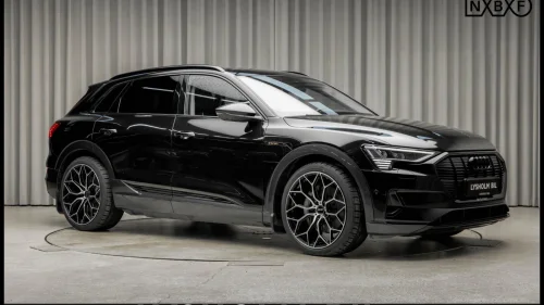AUDI e-tron 55 55 SUV Krok/Pano/BangO/Chrome Delete/360/LED Matrix/ACC