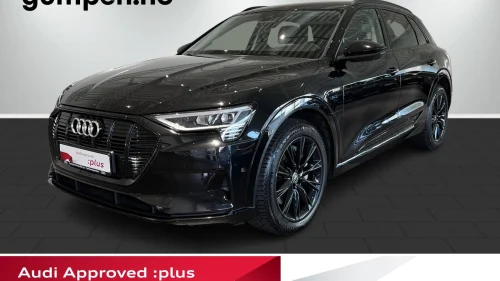 AUDI E TRON 55 55 advanced sport Matrix/B&O/Luft/360 ++
