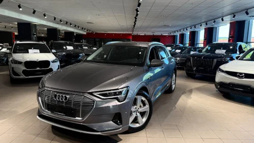 AUDI e-tron 50 50 390HK/SKINN/CRUISE/DAB+/360/NAVI/HEAD UP/+++