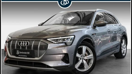 AUDI e-tron 50 50 / ACC / 360º KAMERA / NAVI / SKINN / KROK