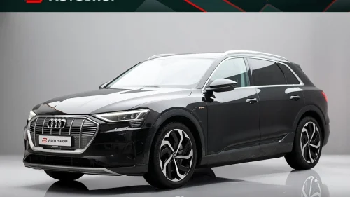 AUDI e-tron 55 55 SPORT ACC SKINN MEMORY KAMERA OPPV.RATT KROK NORSK