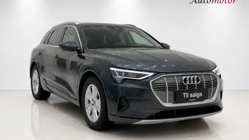 AUDI e-tron 50 50 Advanced 390HK/4x4/Skinn/Navi/DAB/ACC/R.Kam/Krok