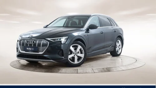 AUDI E TRON 50 50 advanced business R.kamera,Krok,Luft,Navi,Ad.cruise