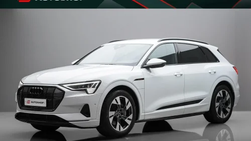 AUDI E TRON 55 55 BLACK LINE SKINN B&O MATRIX SPORT 4-SONER KROK RATT+