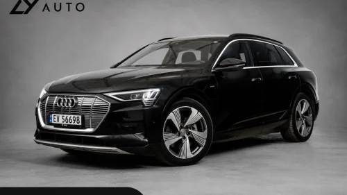 AUDI e-tron 55 LIMITED EDITION MATRIX/B&O/HUD/360KAM/LUFT/KROK!