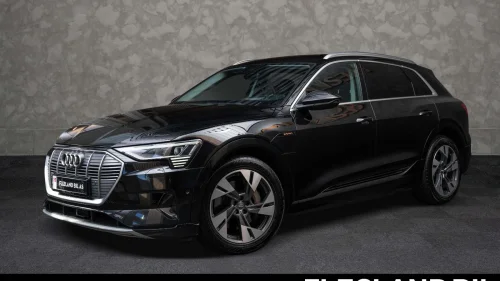 AUDI e-tron 55 QUATTRO/LUFT/ACC//DELSKINN/KAMERA/KROK/EU-OK 02/2028
