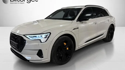 AUDI e-tron 55 S-Line 412km Krok Kamera Pano Skinn Exclusive ++
