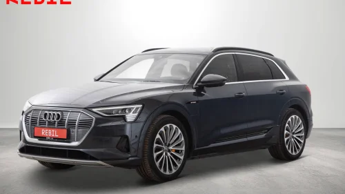 AUDI e-tron 55/Advanced/ACC/HUD/4s Klima/B&O/Navi/360/ Luft/Krok