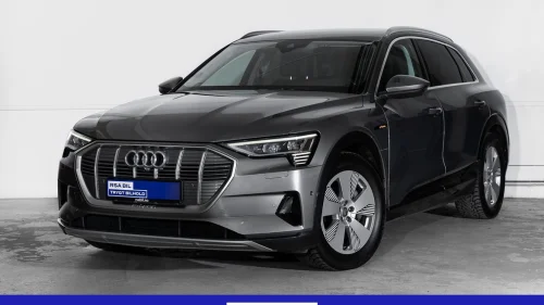 AUDI e-tron 55 Matrix, Hengerfeste, Alcantara, Head-Up