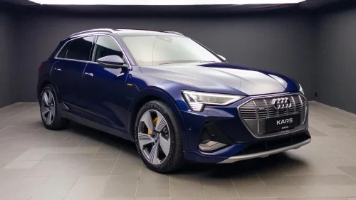 AUDI e-tron 55 55 Advanced Sport 2 X S-Line /Night View /Luft /Krok ++