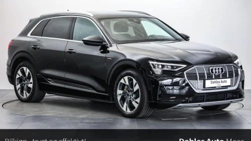 AUDI e-tron 55 55 Matrix/S-Line/Skinn/360Kamera/Panorama/B&O/Krok