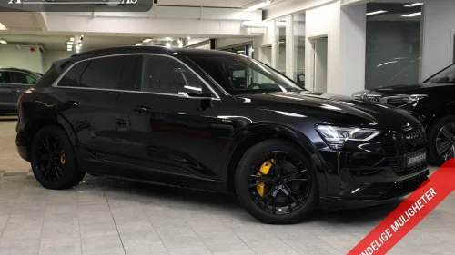 AUDI e-tron 55 55 Bang&Olufsen/Nightvision/Headup/Matrix/ACC/H.feste++
